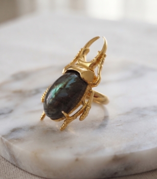 Anillos